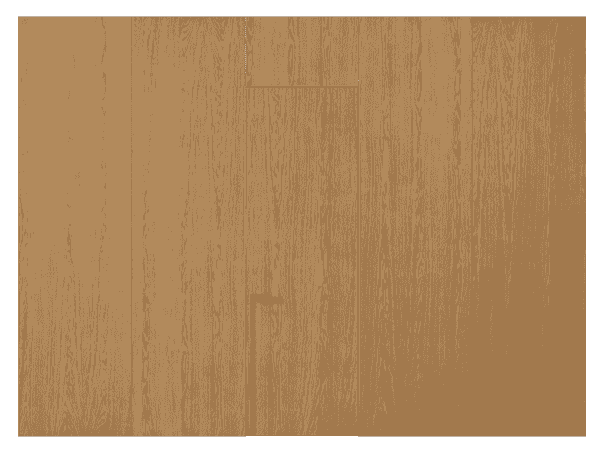 Панели для отделки стен Панель Шпон с эффектом NaturWood. Цвет Дуб миндальный матовый. Материал Шпон с эффектом Naturwood. Коллекция Шпон с эффектом NaturWood. Картинка.