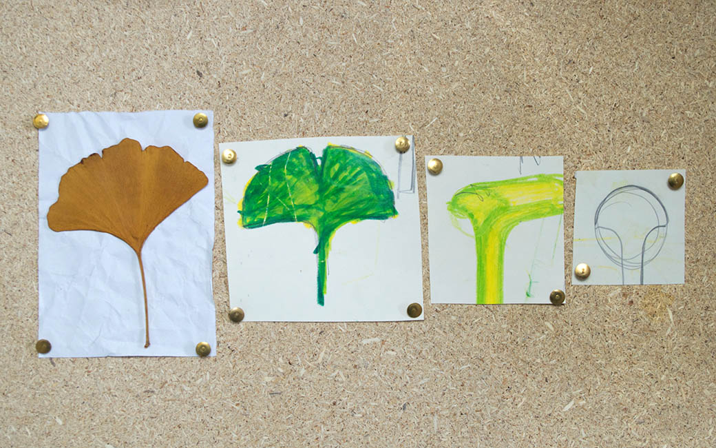 GINKGO